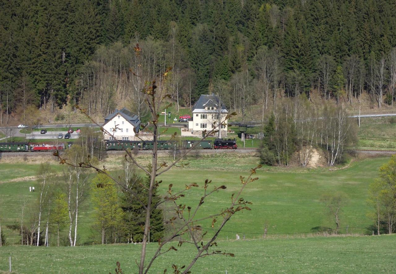 Ferienwohnung Schmalzgrube Jöhstadt Eksteriør billede