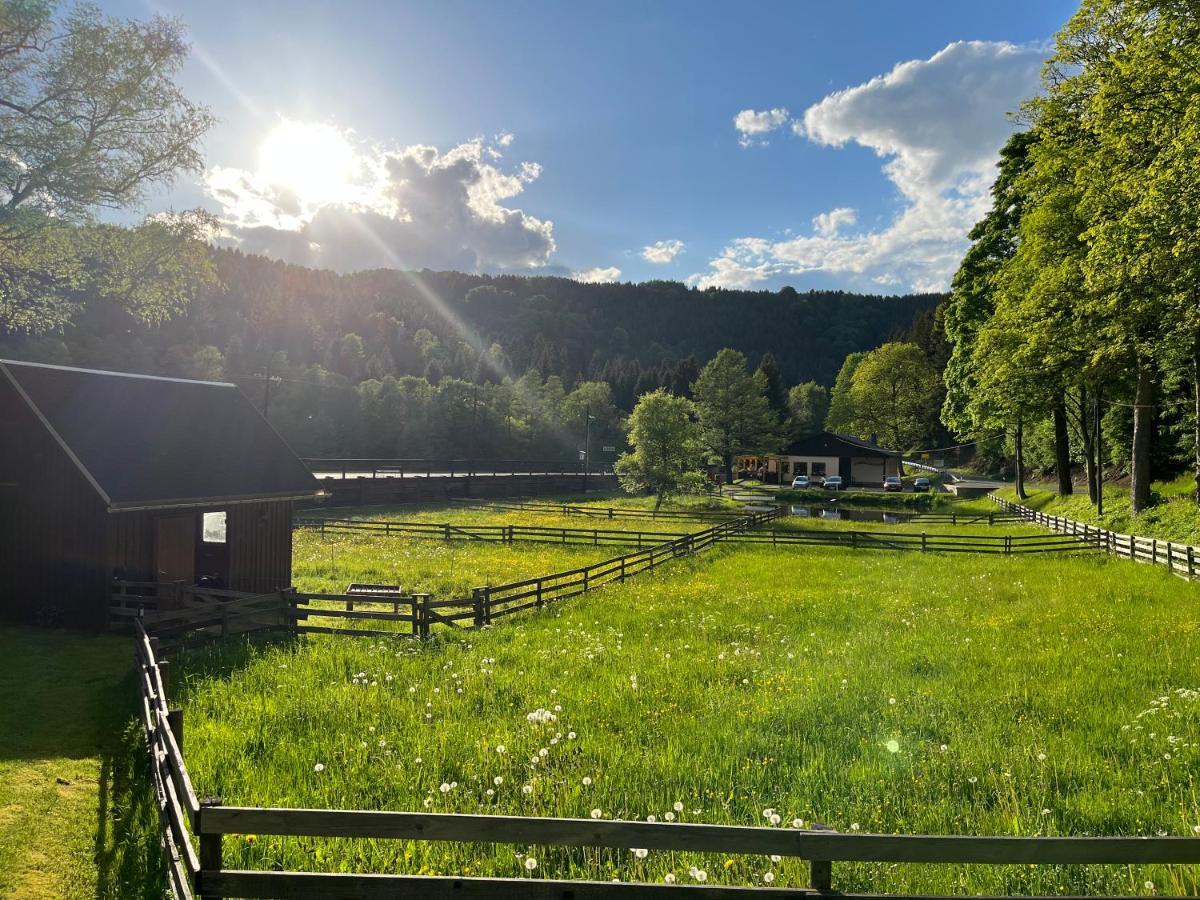 Ferienwohnung Schmalzgrube Jöhstadt Eksteriør billede